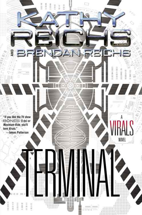 Terminal: A Virals Novel