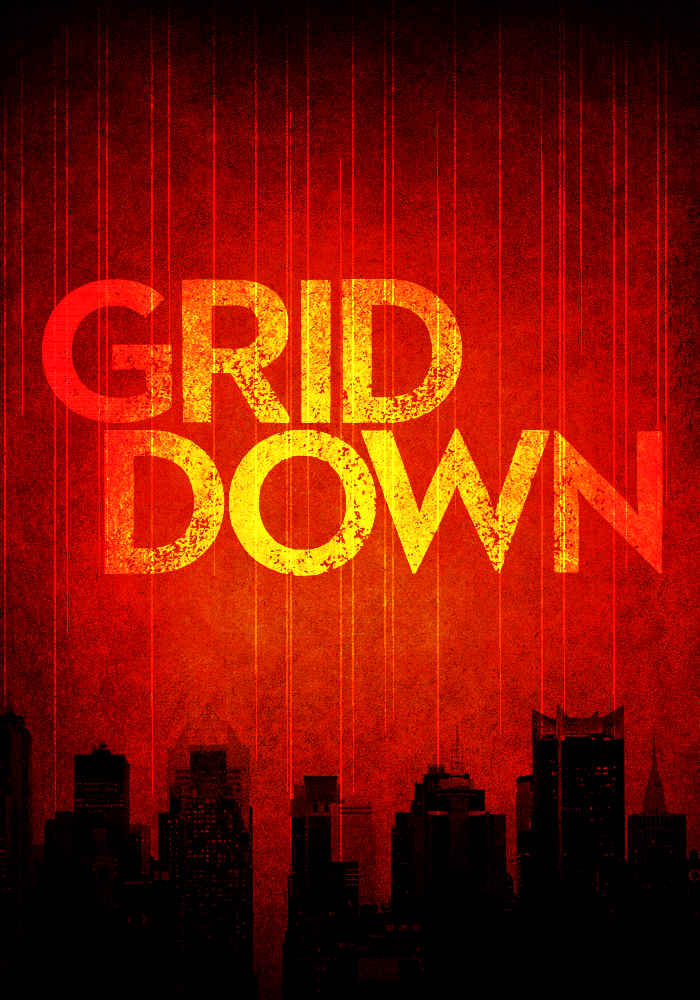 Grid Down: A Strike Against America - an EMP Survival Story- Book Two