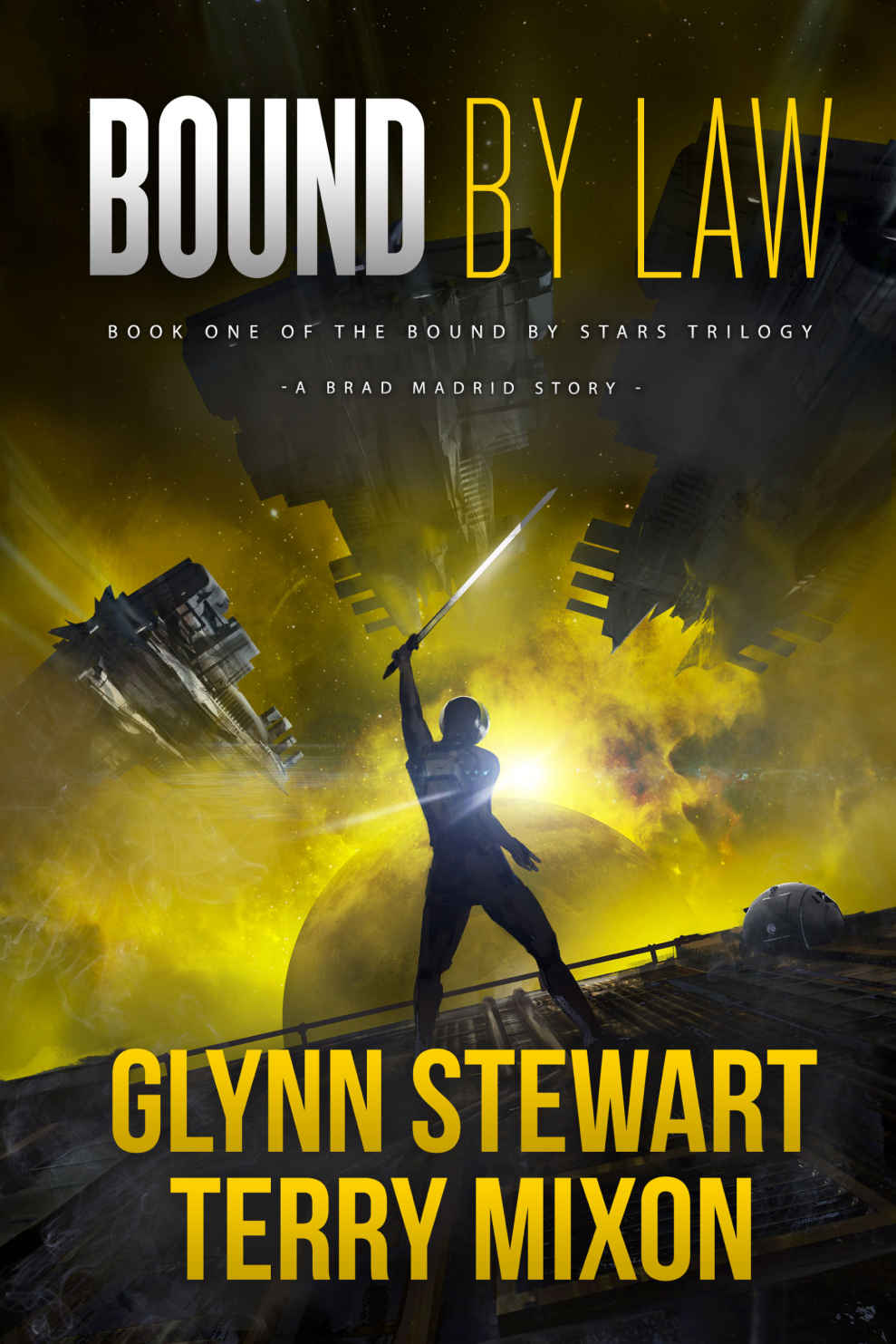 Bound By Law (Vigilante Book 3)