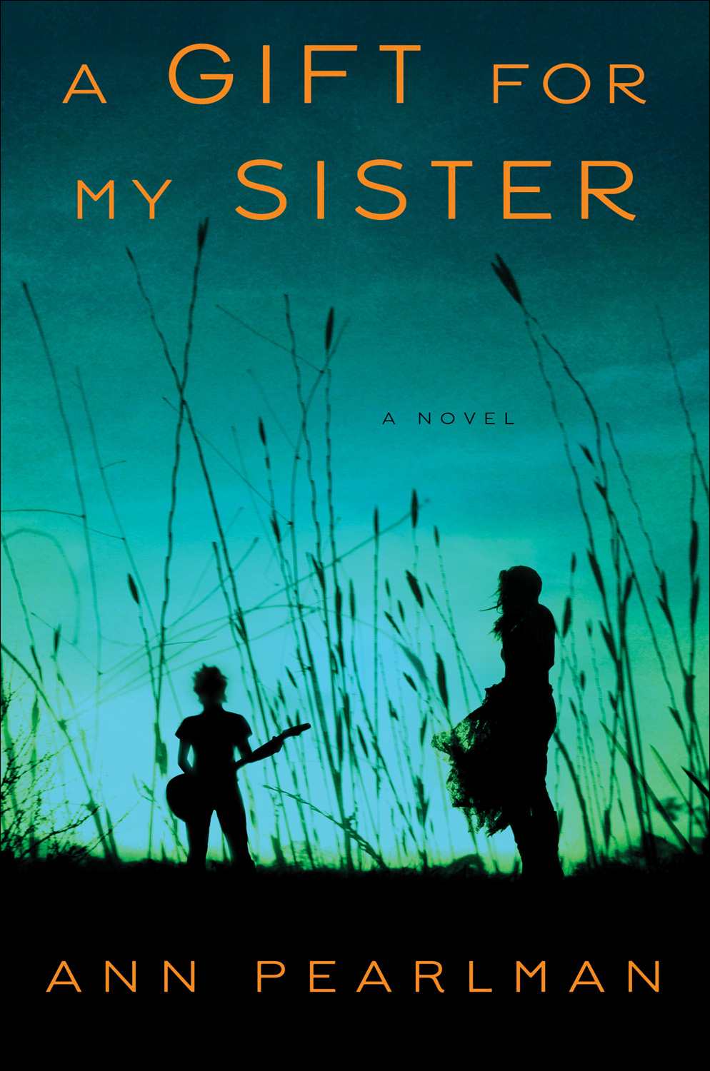A Gift for My Sister: A Novel