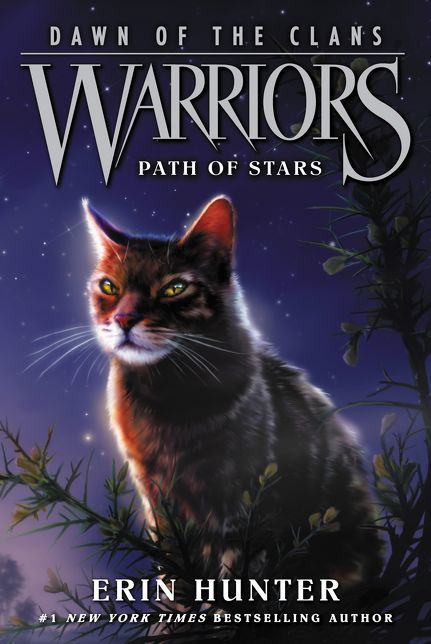 Path of Stars