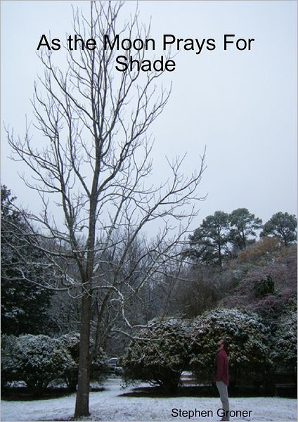 As the Moon Prays for Shade