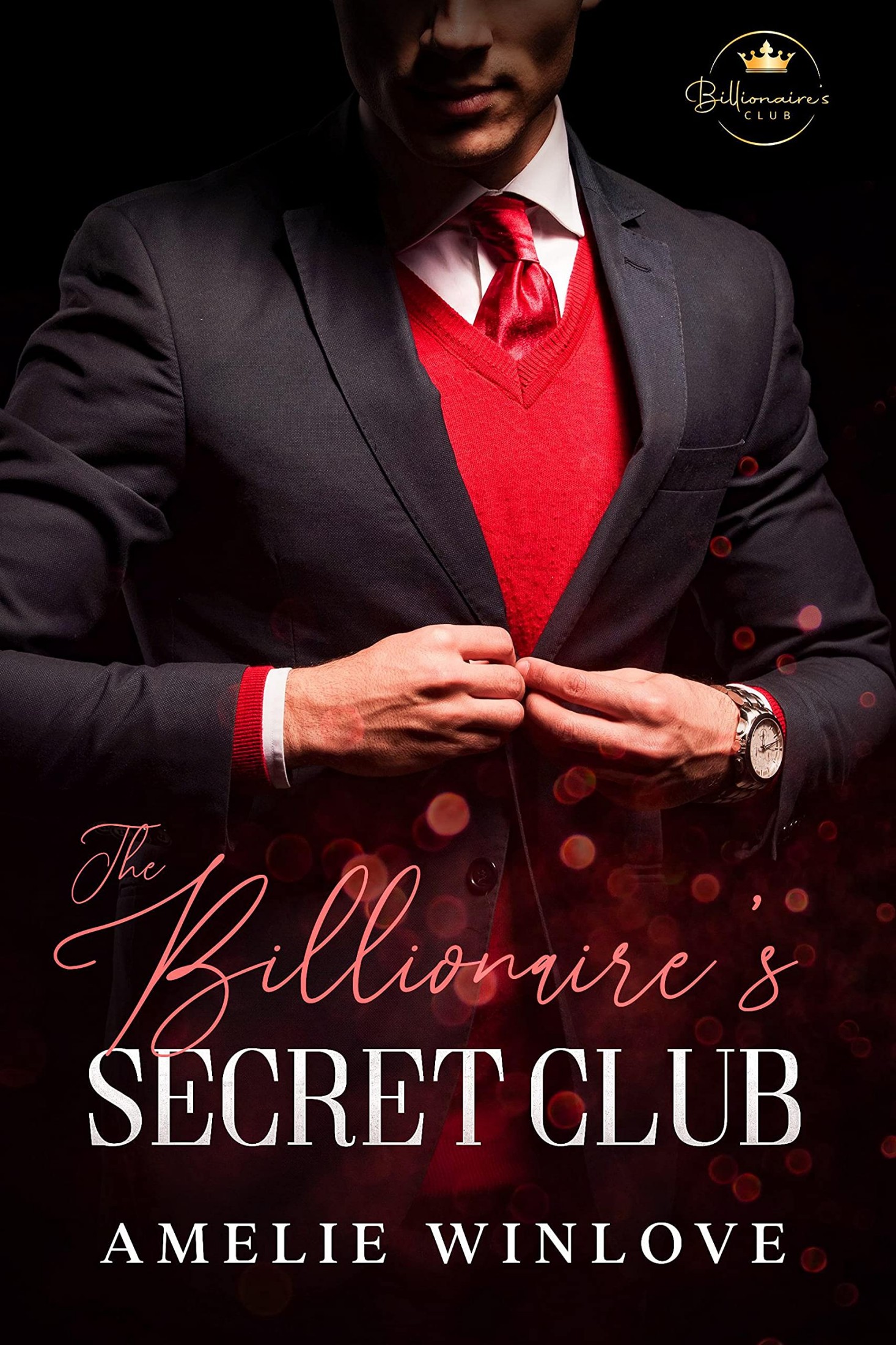 Billionaire's Secret Club