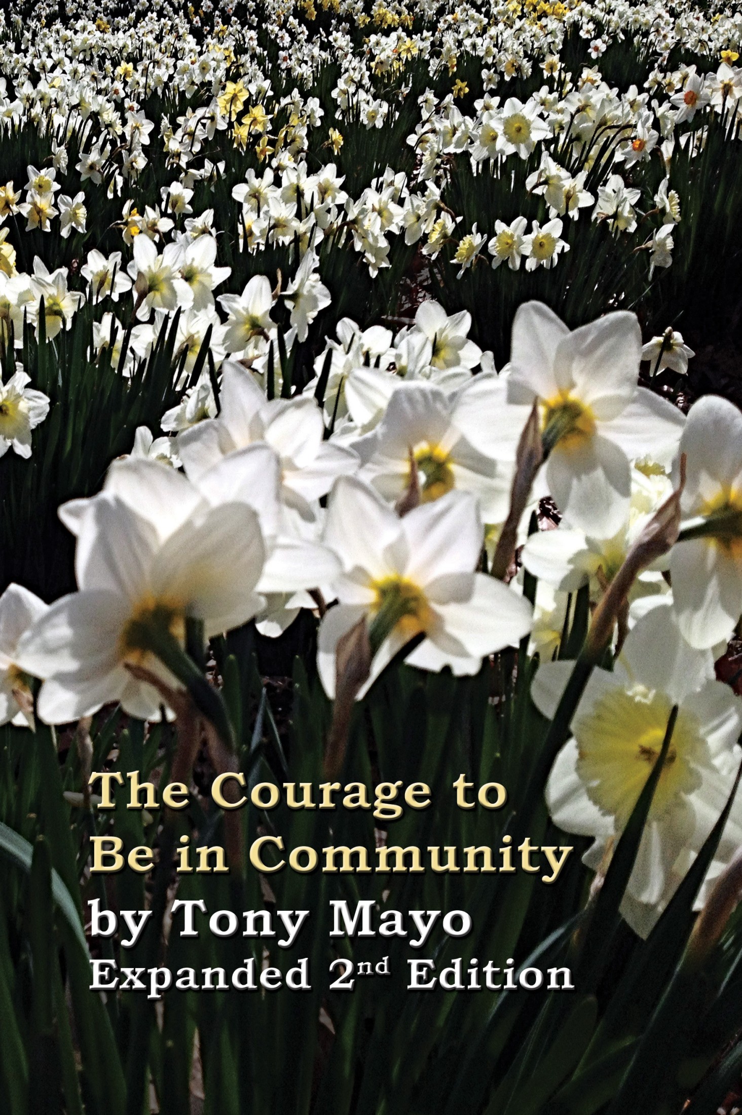 The Courage to Be in Community, 2nd Edition: A Call for Compassion, Vulnerability, and Authenticity