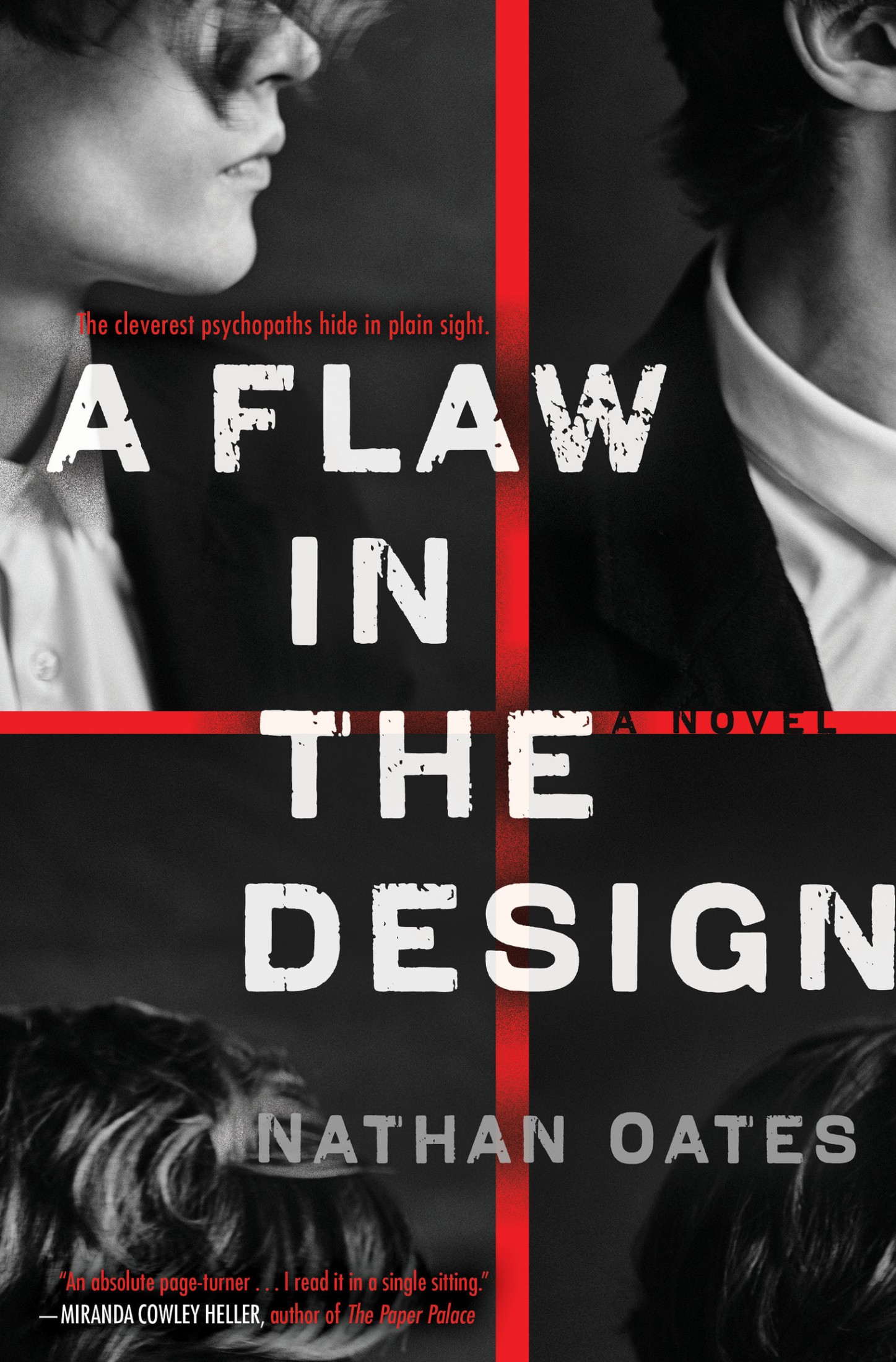 A Flaw in the Design: A Novel