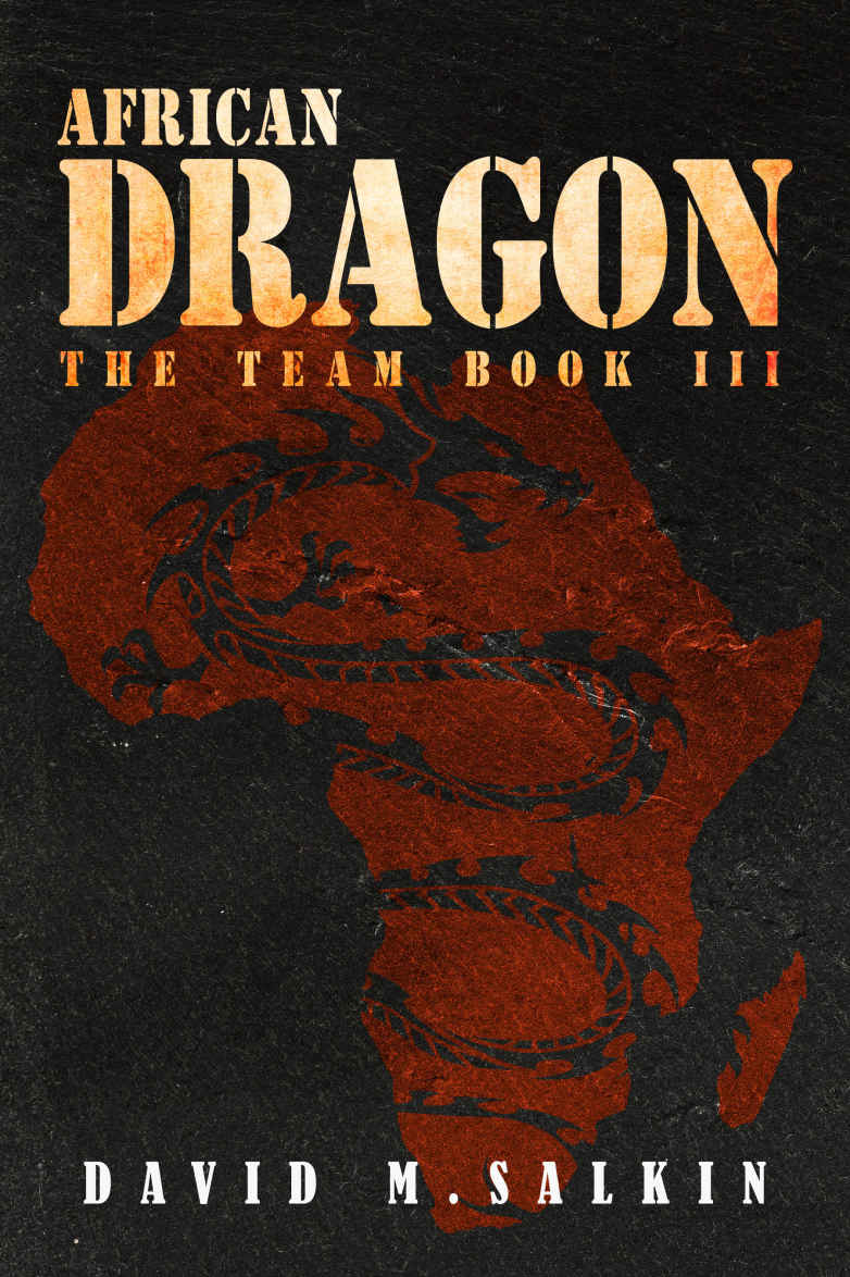 African Dragon (The Team Book 3)